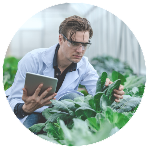 agronomist doing research in lab