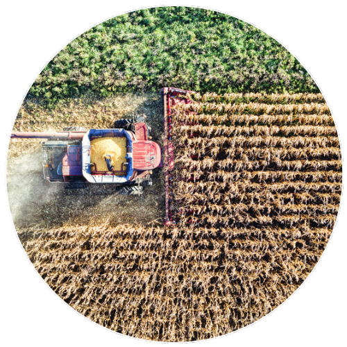 harvesting of crops with large machinery