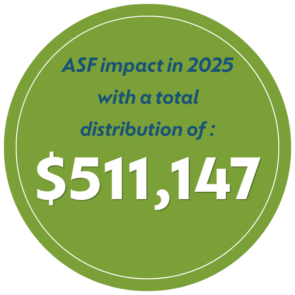 total impact in 2025