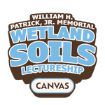 Commemorative pin
