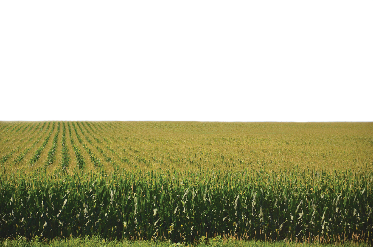 Source: Flickr/Richard Hurd (https://creativecommons.org/licenses/by/2.0/).