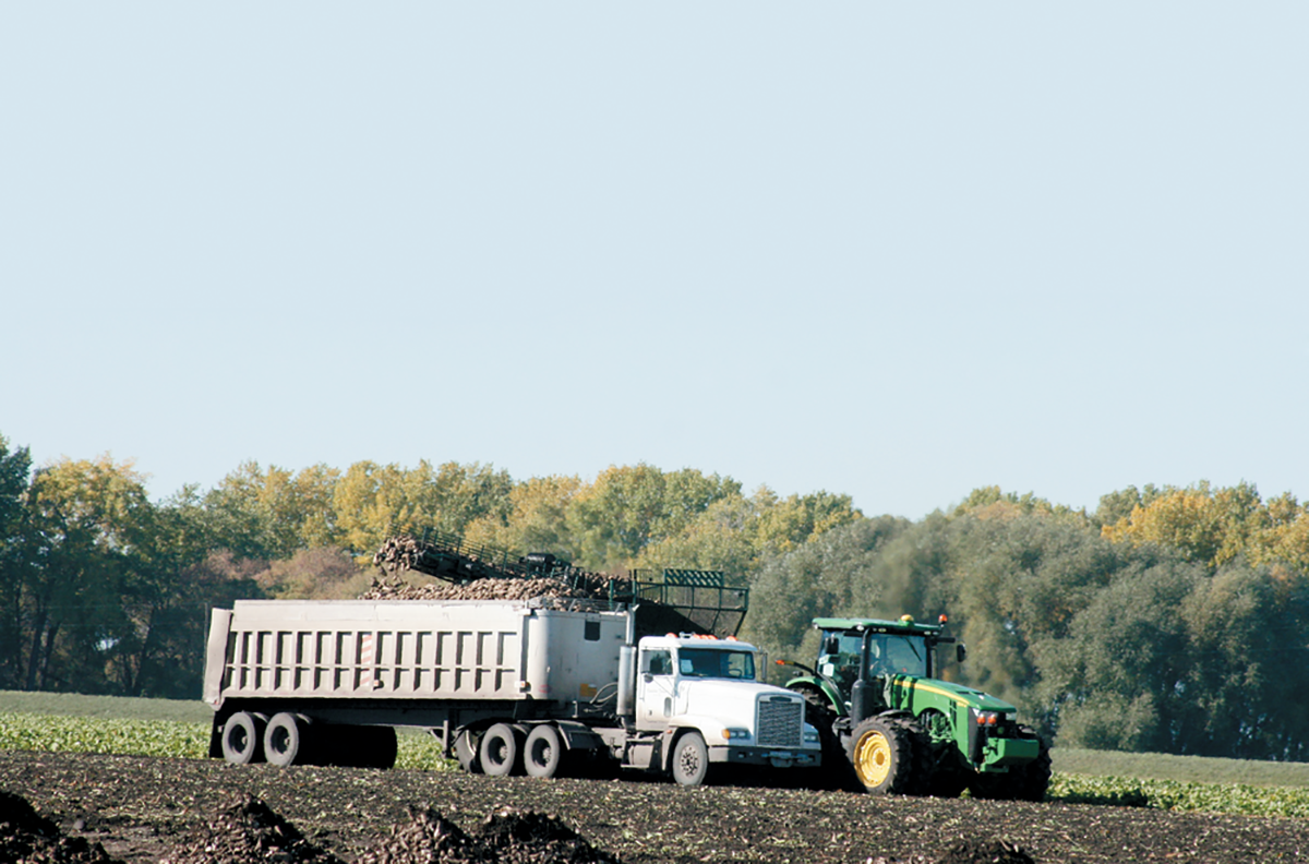 Source: Flickr/Heather.