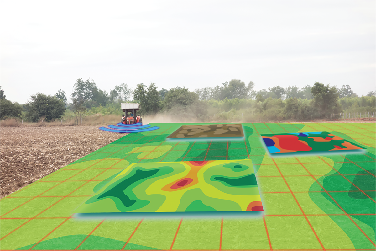 Source: Adobe Stock/Monopoly919.