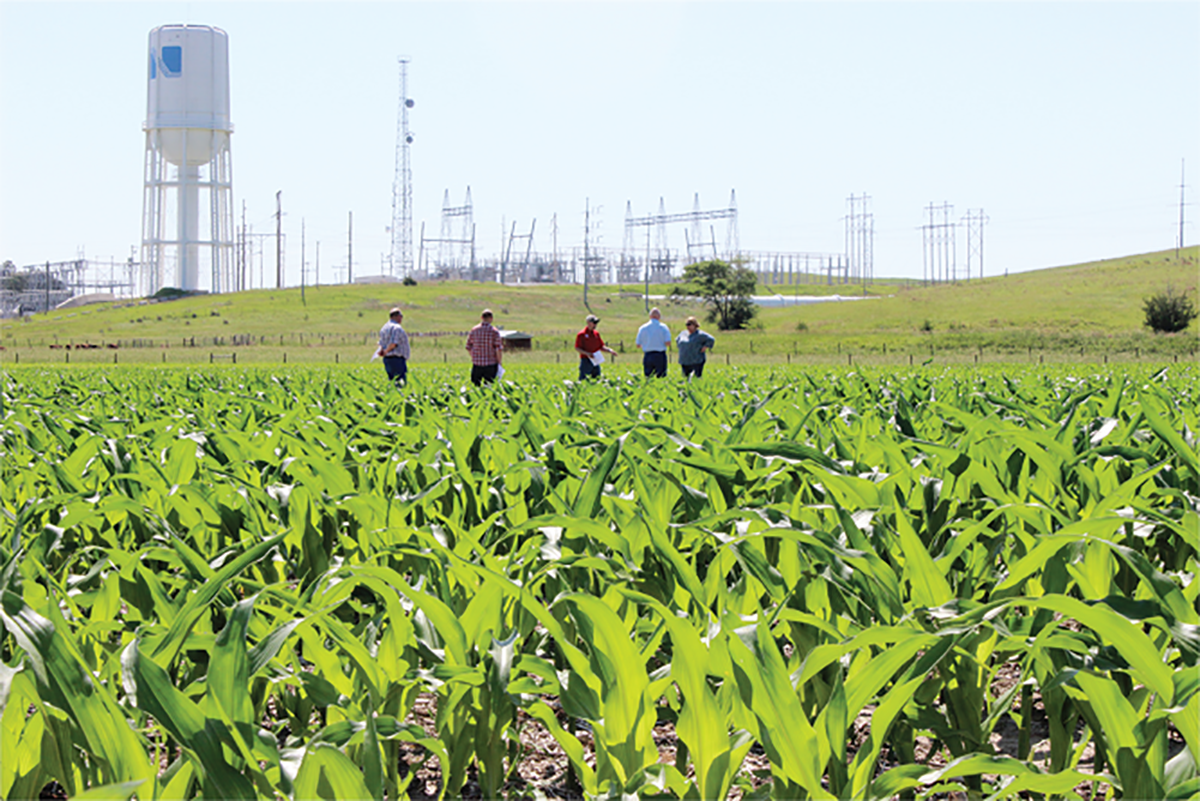 Testing Ag Performance Solutions, or TAPS, is an interactive, real-life farm management competition at the University of Nebraska–Lincoln. Source: UNL TAPS.