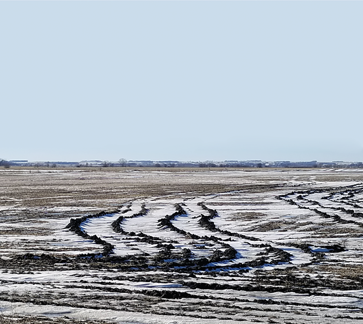 Combine ruts after soybean harvest. Source: Anthony Bly.