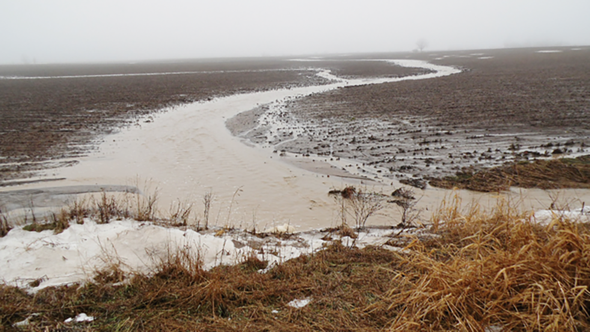 Figure 2, Winter runoff causing ephemeral gully erosion after fall chisel plowing and manure injection with a drag hose the prior December. The gully eroded to the depth of manure injection and will be filled in (hidden) by spring field cultivation. Source: J. Grigar.