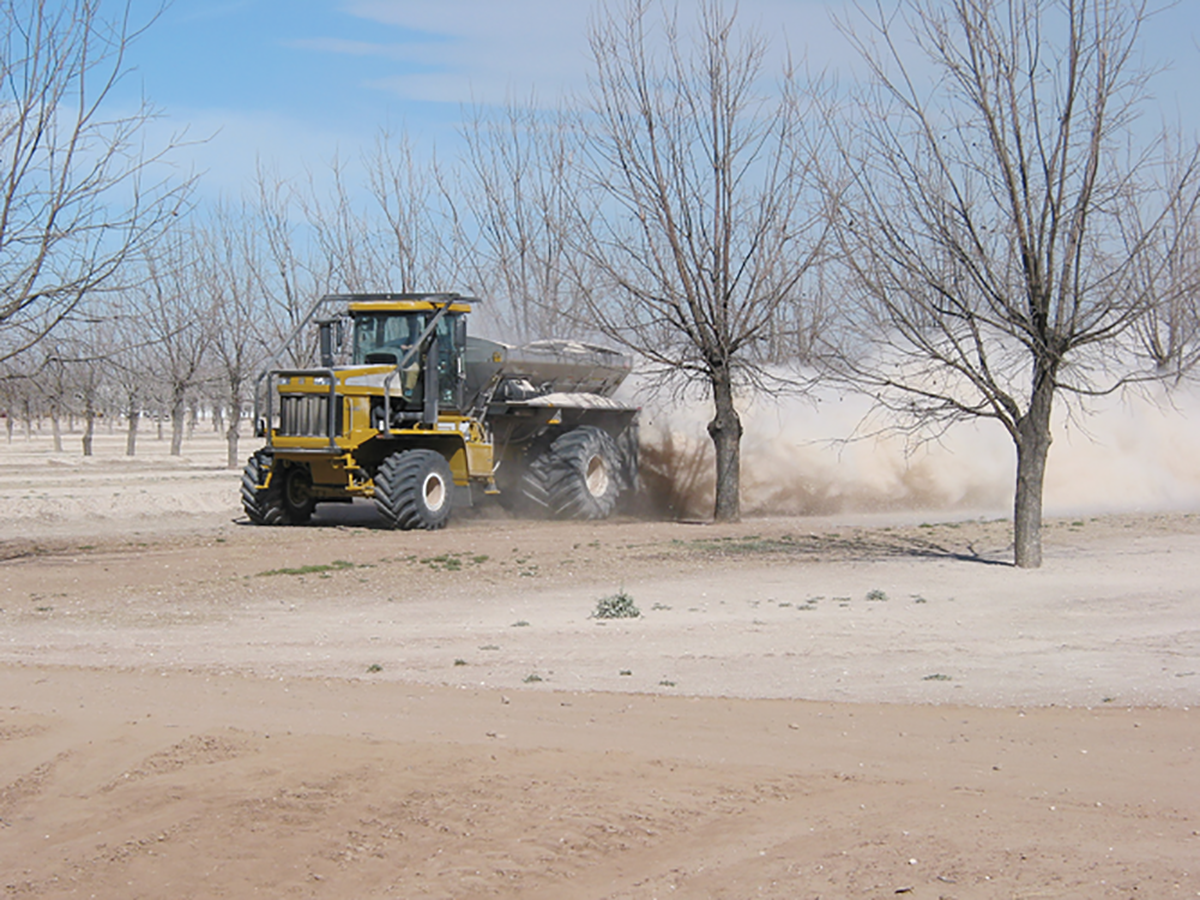 Gypsum application in an Arizona pecan orchard. Photo by Jim Walworth.