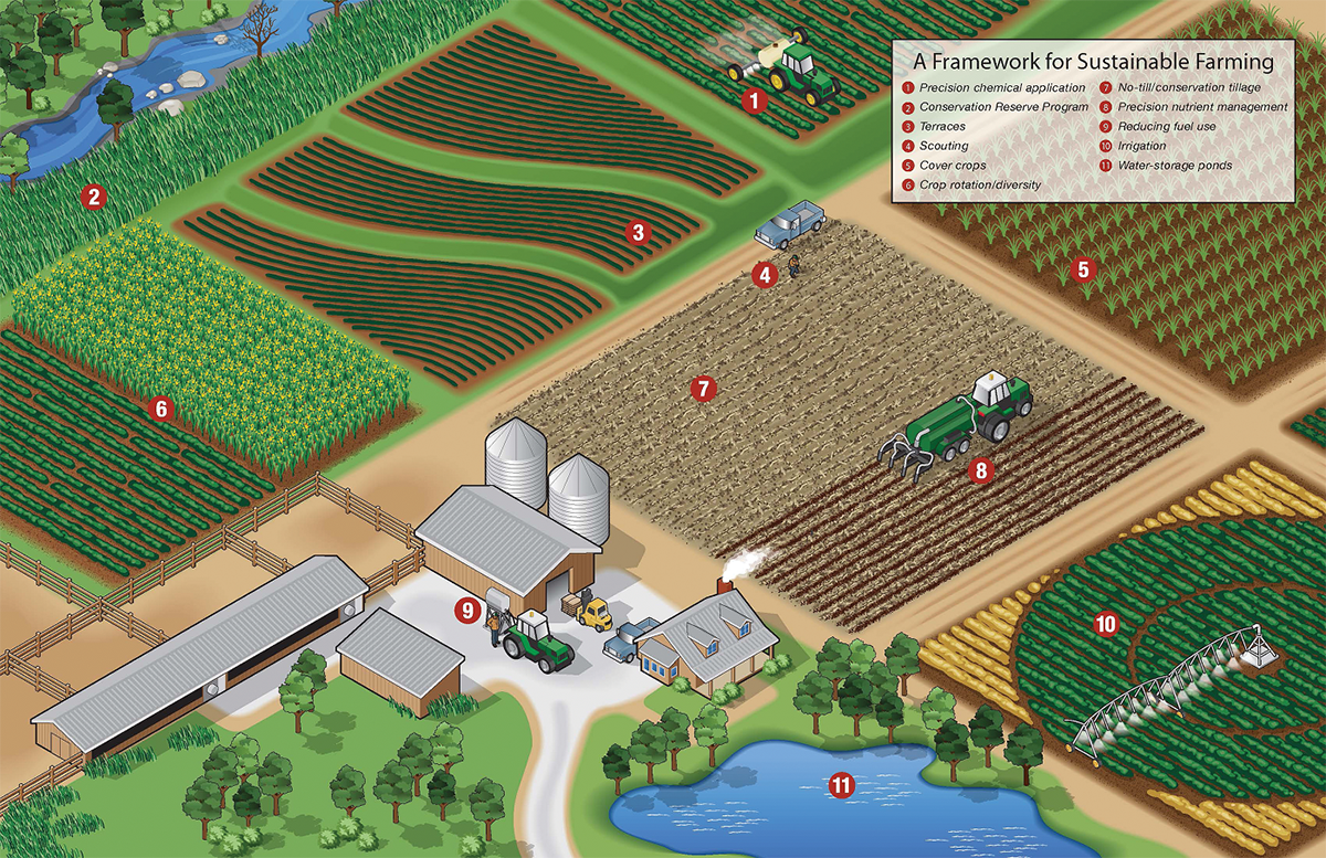 Illustration showing some potentially sustainable agronomic management practices. Source: United Soybean Board.