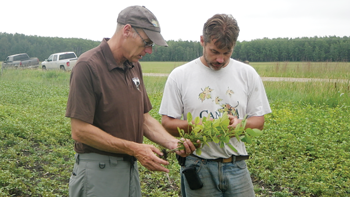 CCA John Heard (left) working with a grower.