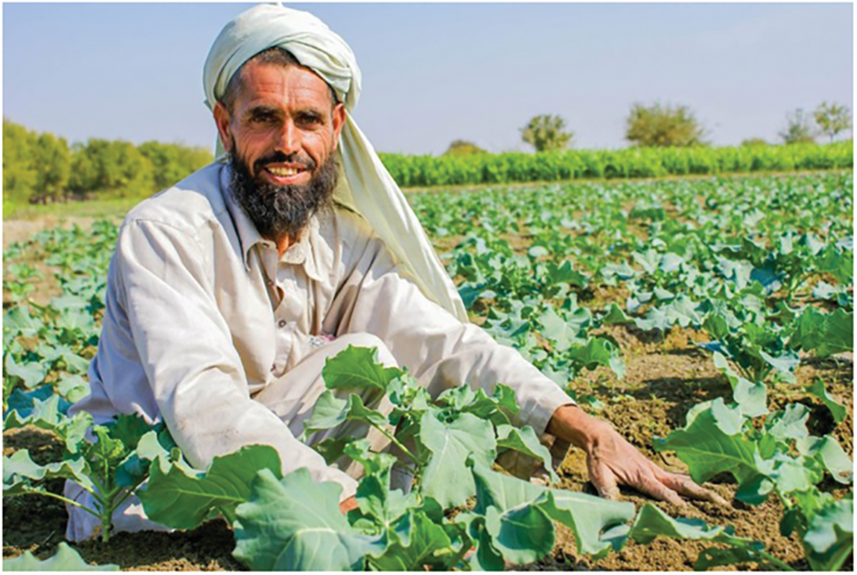 Individuals living outside of North American will now how have a greater opportunity to become certified through the ICCA Program. Photo courtesy of USAID/Afghanistan.