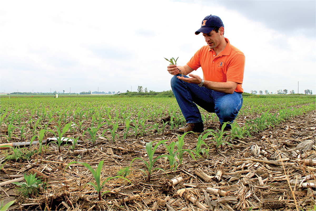 Fabián Fernández, a soil scientist and extension specialist at the University of Minnesota, is the author of a recent article in Agronomy Journal that examines how yield and root growth in corn and soybean crops are affected by tillage, fertilizer application rates, and fertilizer placement.