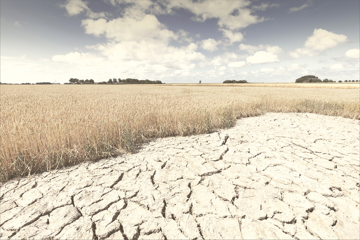 Photo courtesy of Adlobe Stock/Bas Meelker.