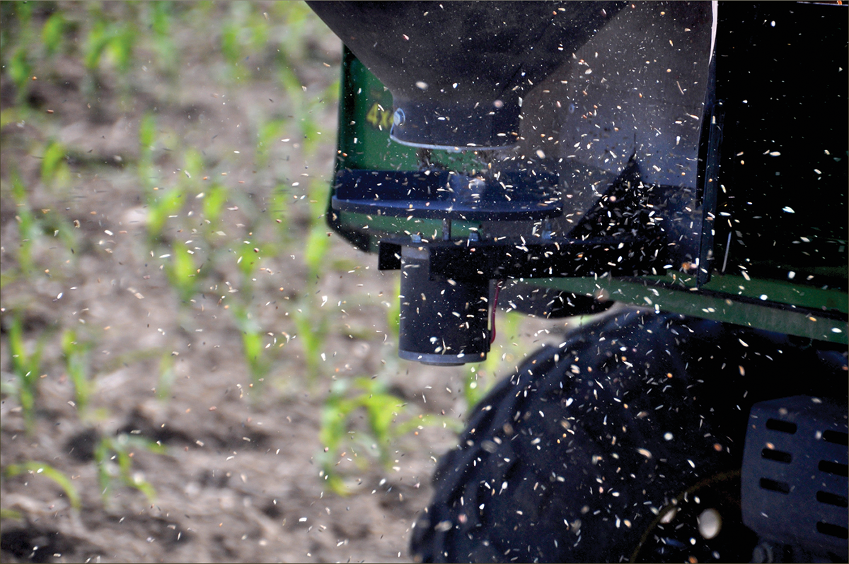 The Environmental Quality Incentives Program (EQIP) will pay growers for up to five years to experiment with cover crops to determine the best seed, management, and termination options for their farm. Here cover crops are being interseeded into corn. Photo by Lynn Betts (NRCS/SWCS).