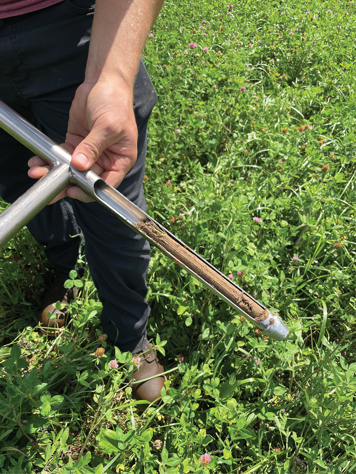 Photo courtesy of A. Larson.