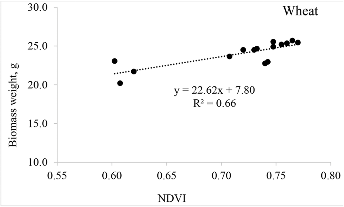 Figure 1, Relationship between GreenSeeker NDVI and wheat biomass weight, Feekes 5, Parma ID.