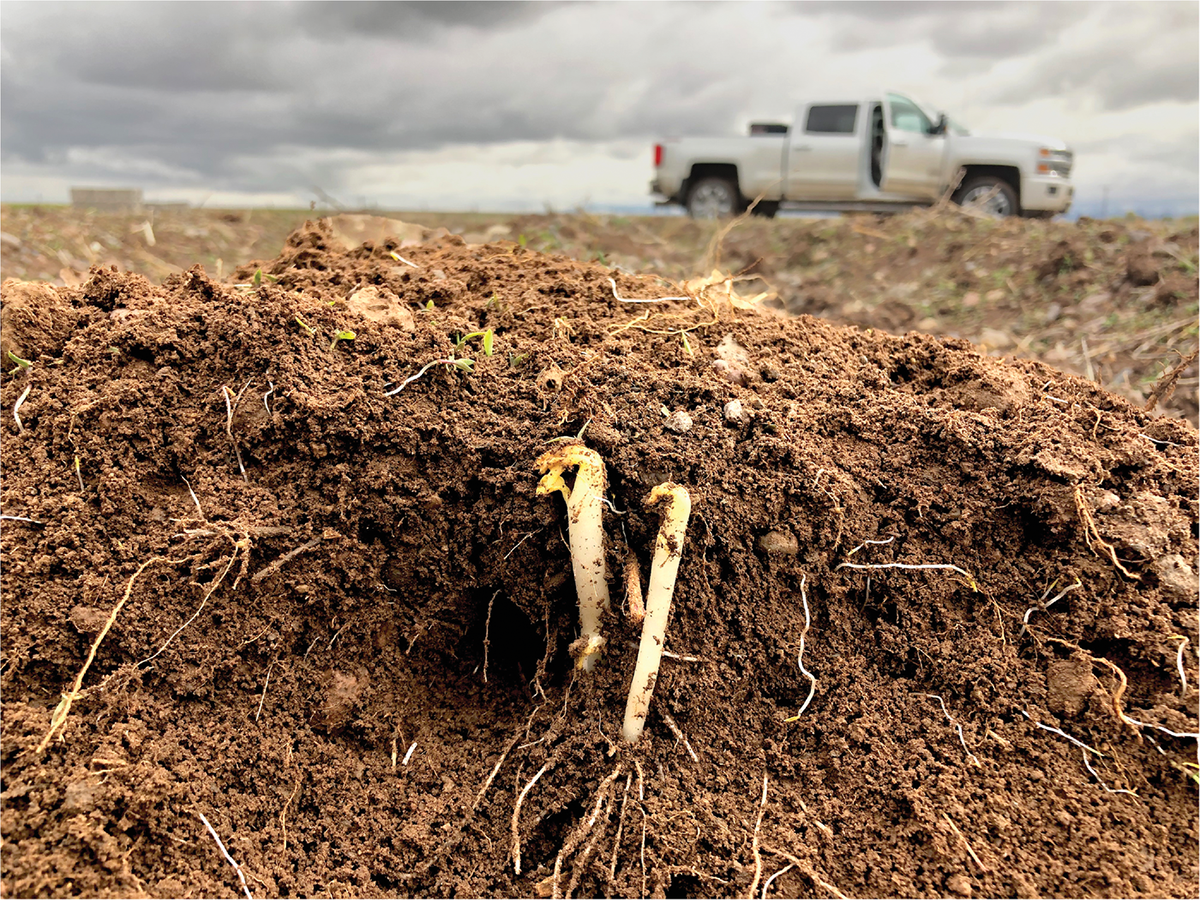 Photo by Tyler Thompson.