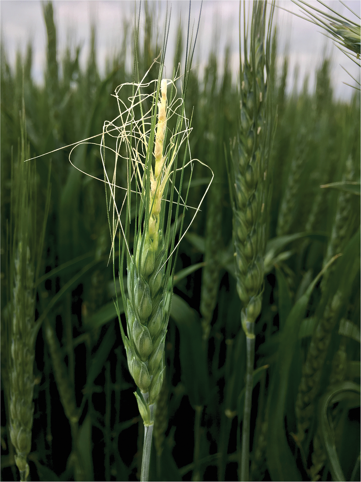 Photo by Carrie Knott.