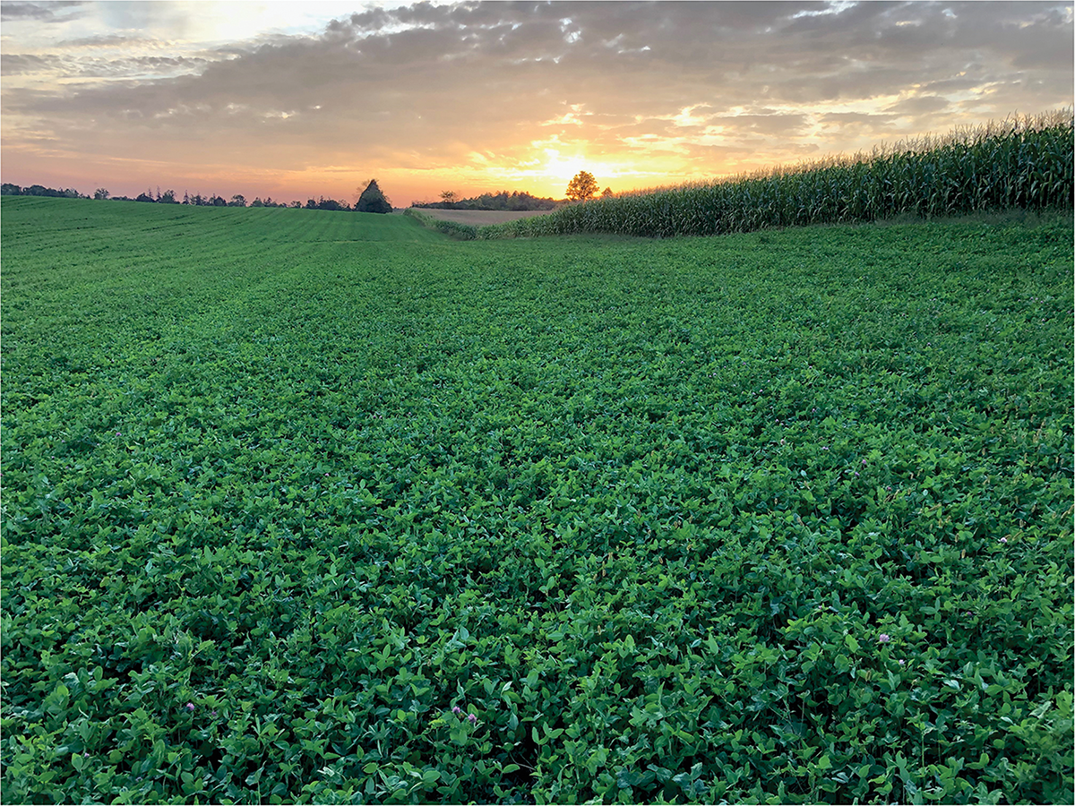 Sharing data on 4R practices can boost public confidence in farming outcomes.