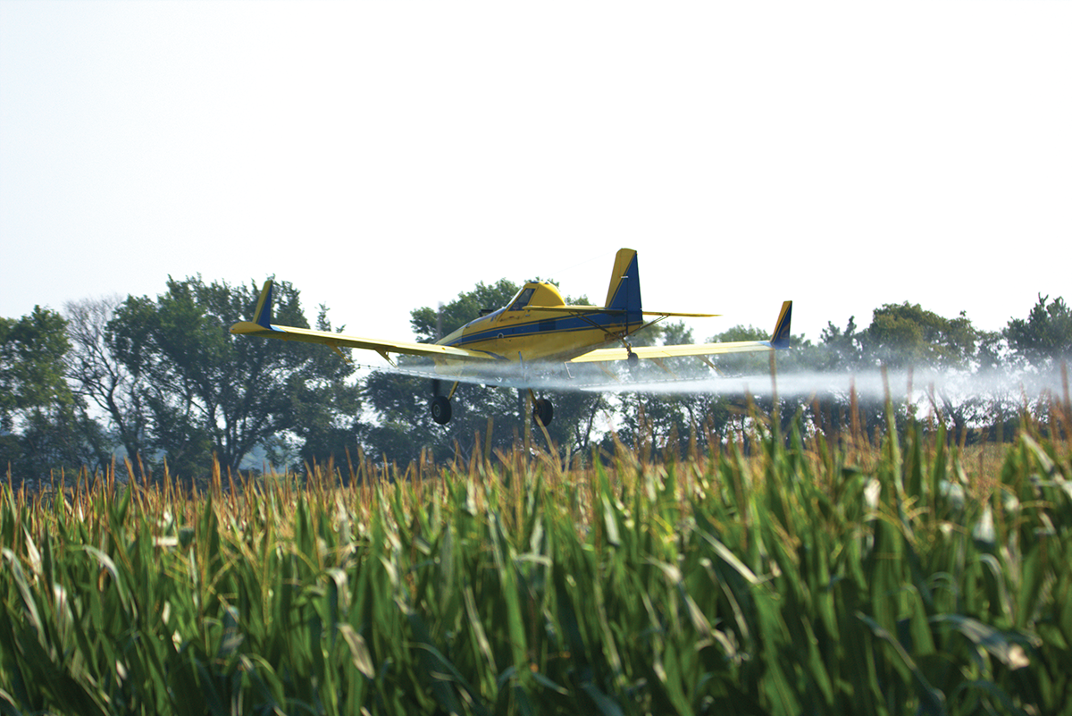 Photo courtesy of Adobe Stock/ronm.