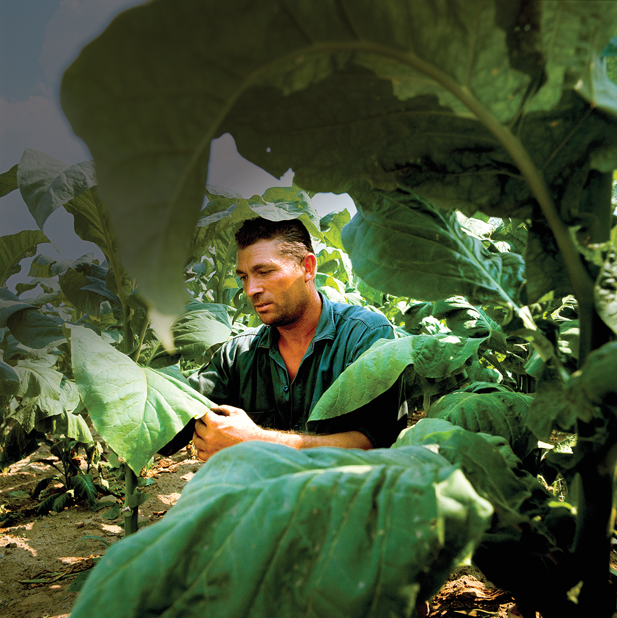 Photo by David Forbert/agefotostock.