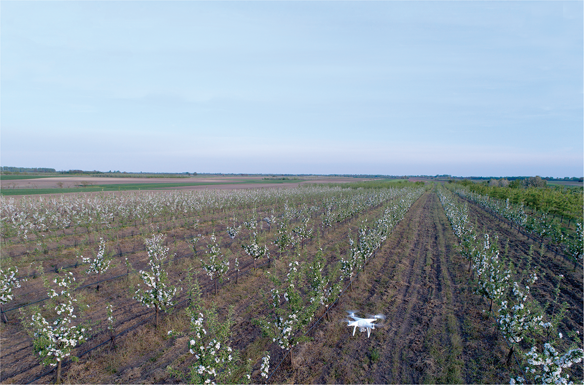 Photo courtesy of Adobe Stock/Budimir Jevtic.