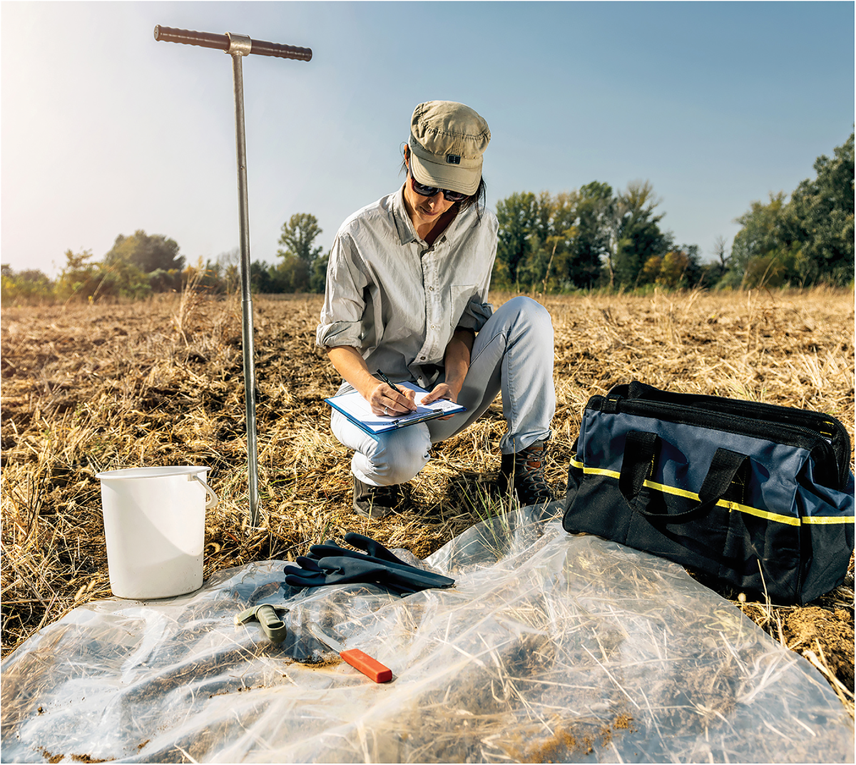 Photo courtesy of Adobe Stock/Microgen.