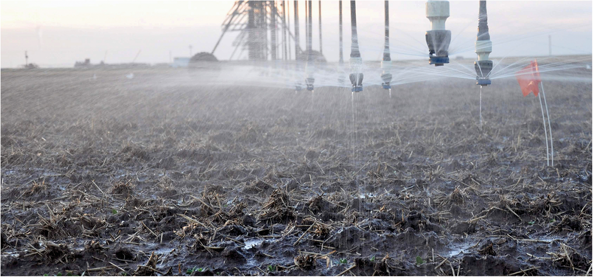 Photo by Jagdeep Singh.