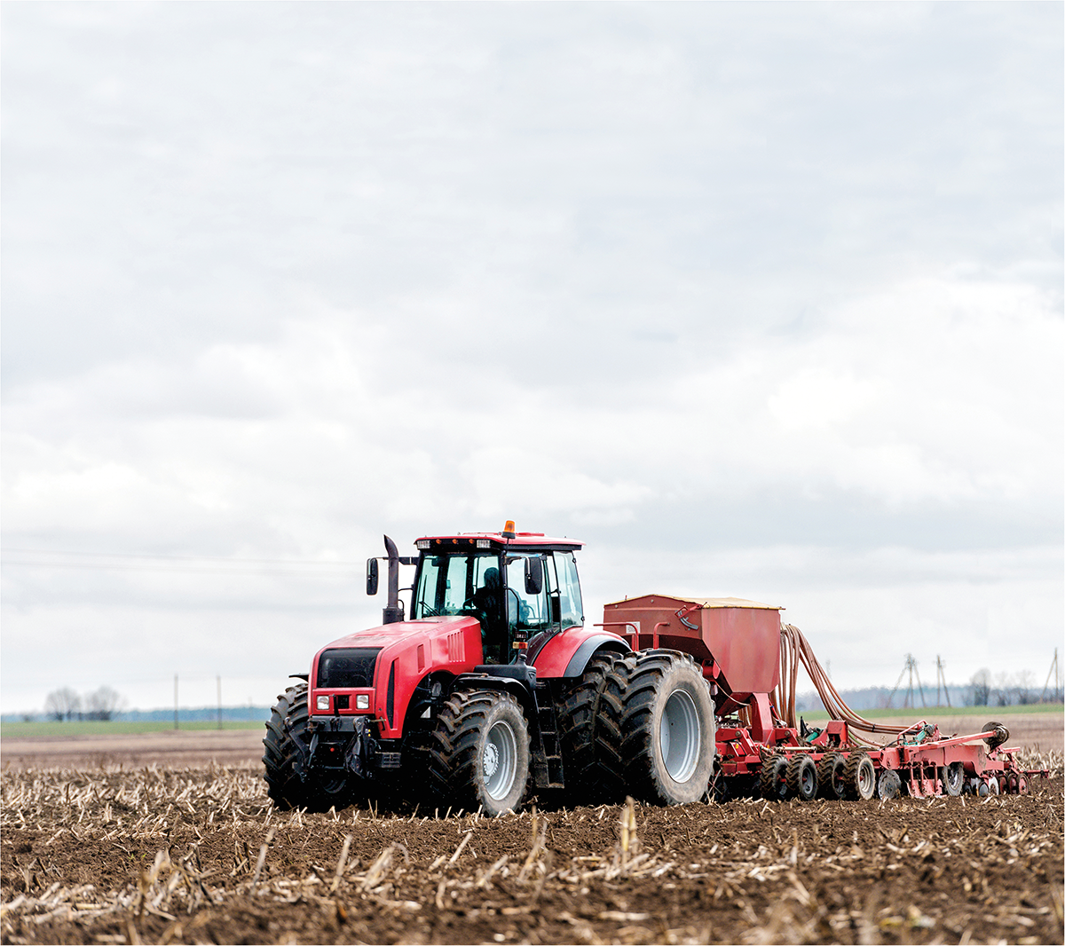 Photo by Draw05/Shutterstock