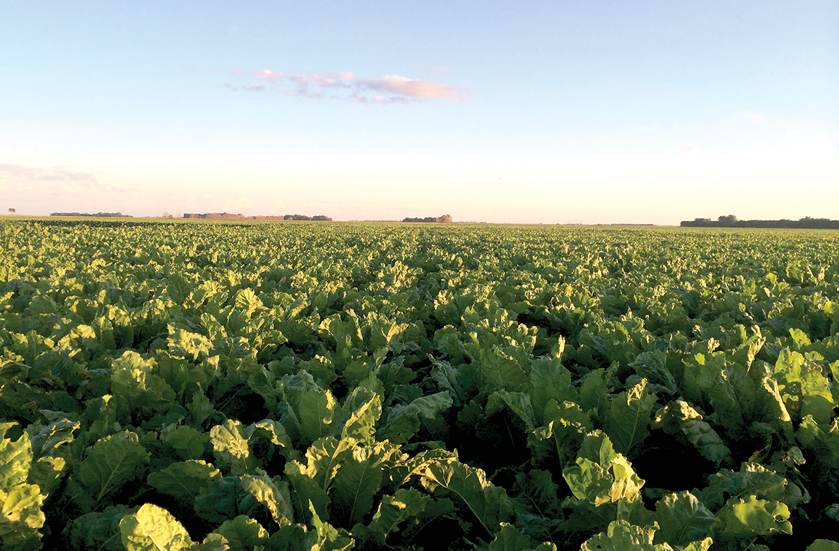 Photo by Jacob Ryan Osland.