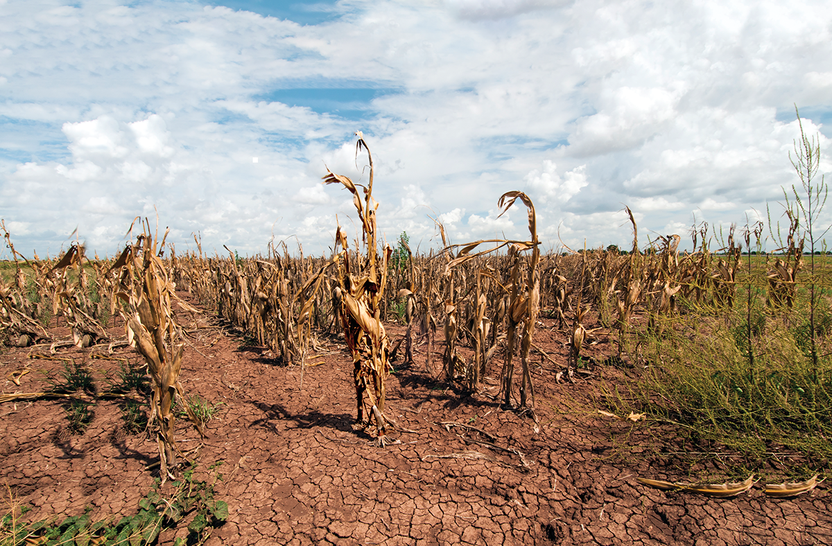 Photo by Bob Nichols/USDA.