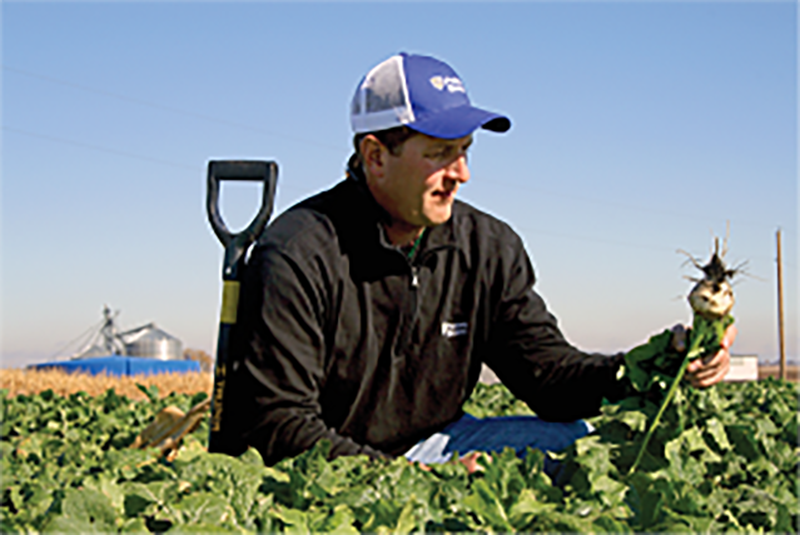A CCA from Easton, MN, visits a recently harvested field to check on cover crop (tillage radish) progression. Photo by William Schrader.