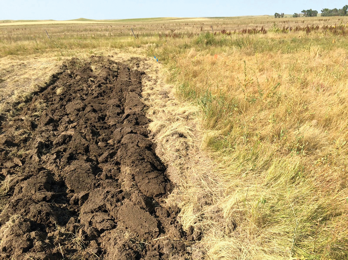 Figure 1, Test plots for a grassland conversion study with converted grassland on the left and native grassland on the right.