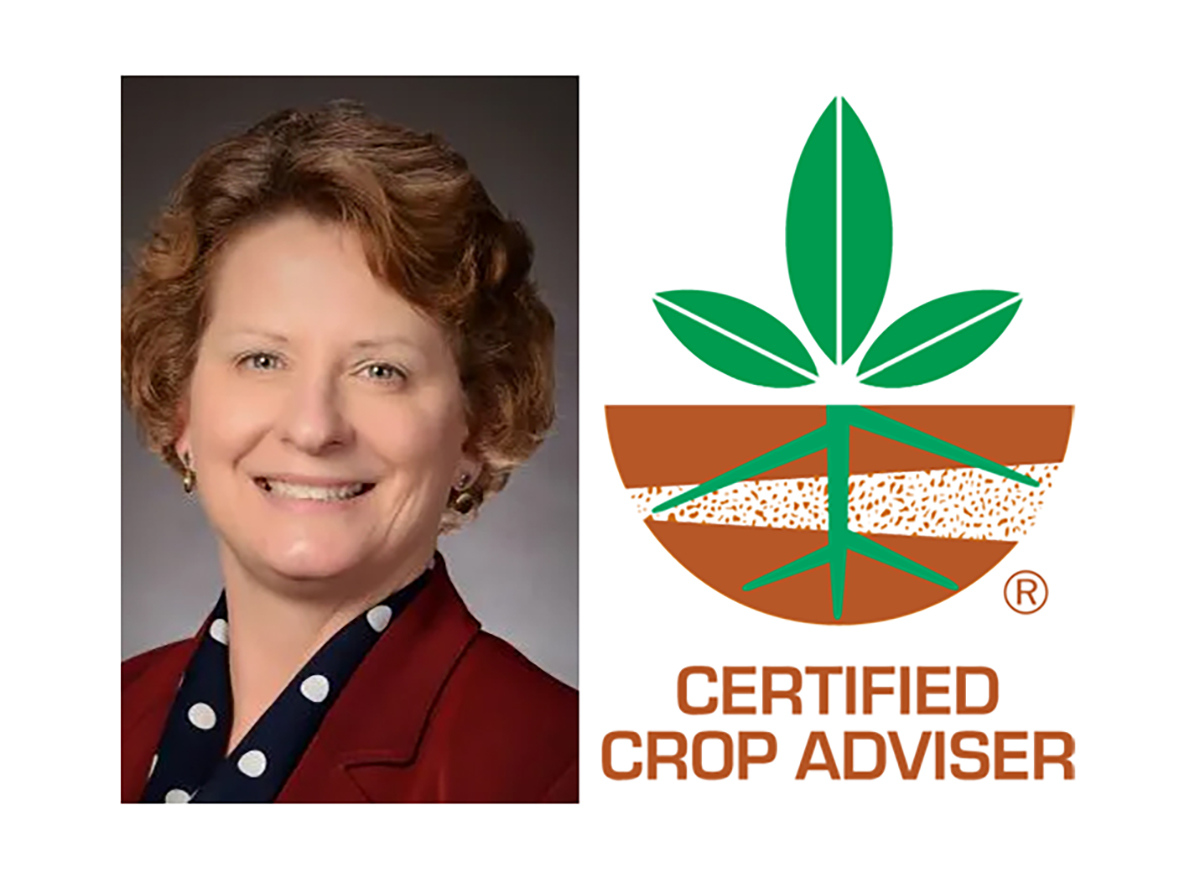Janice Welsheimer, Executive Director of the Ohio CCA Program, has received the 2025 ICCA Administrative Excellence Award.