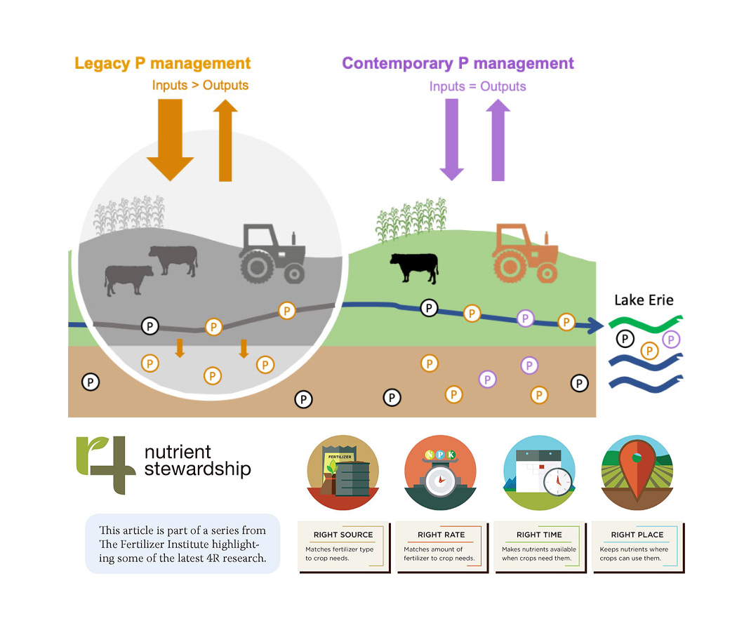 Managing the legacy of P inputs and outputs is an integral part of 4R Nutrient Stewardship. Illustration courtesy of the USDA Legacy Phosphorus project.