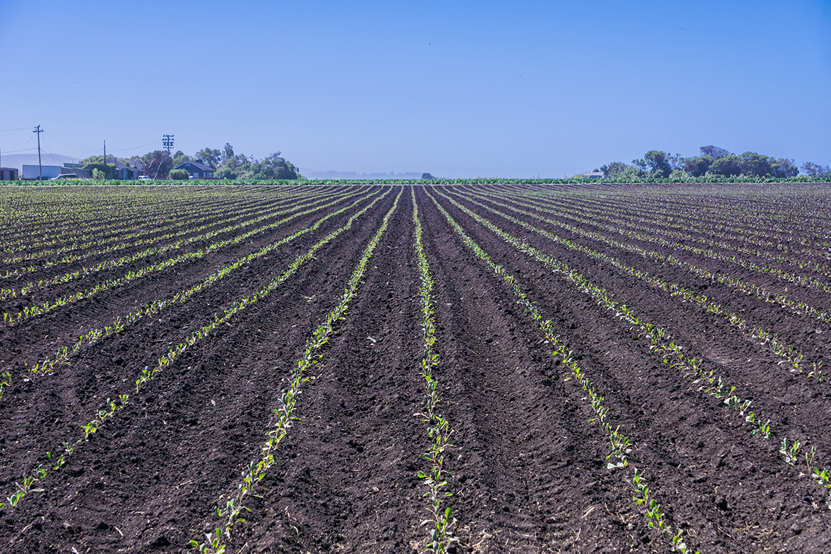 Photo courtesy of Adobe Stock/Sundry Photography.