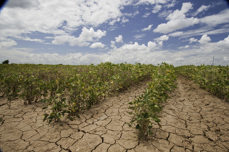Drought
