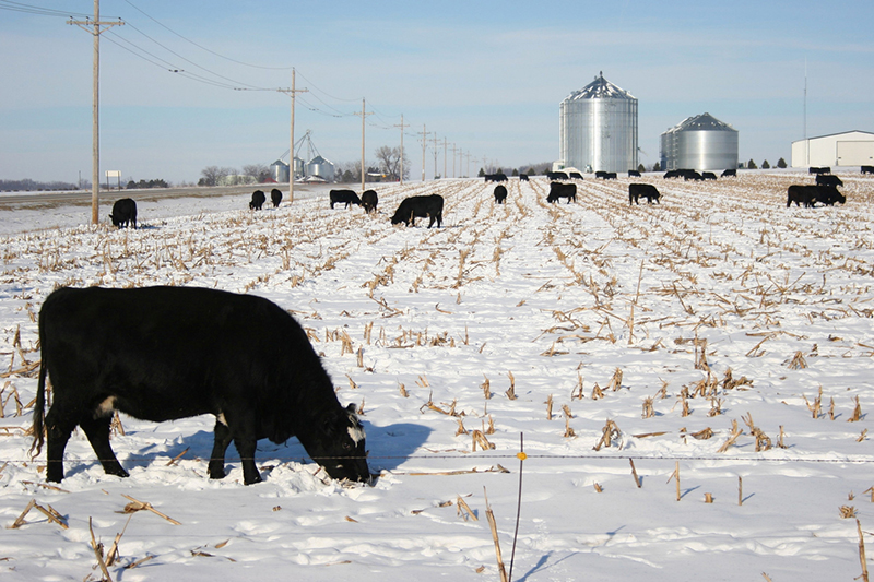 Crop-livestock system