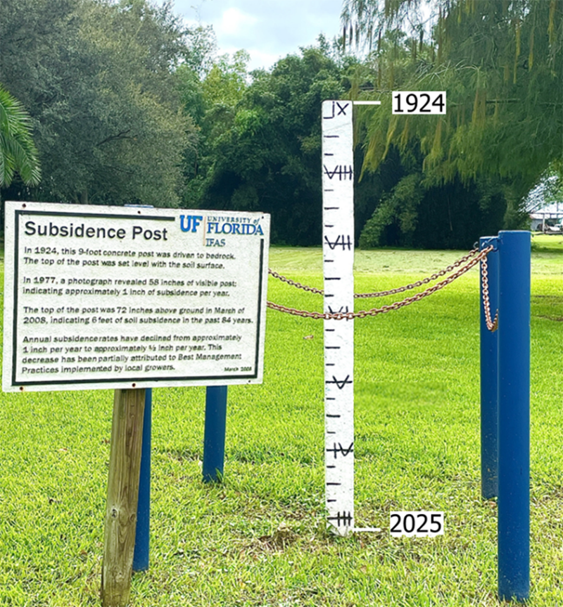 Figure 1. A soil subsidence post at the Everglades Research and Education Center to document soil loss. Photo courtesy of Xue Bai, UF/IFAS.