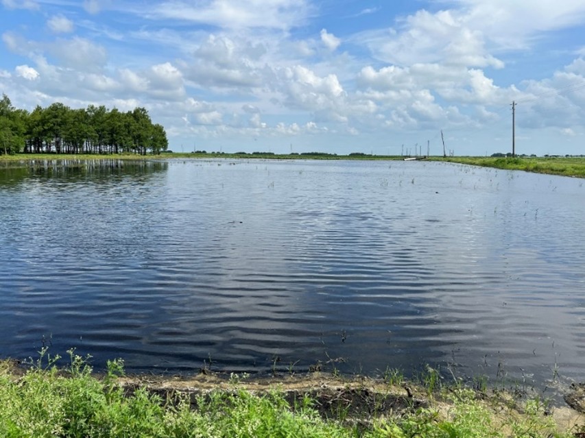 Figure 7. Submerging of soils to prevent soil loss. Photo courtesy of Suraj Melkani, UF/IFAS.