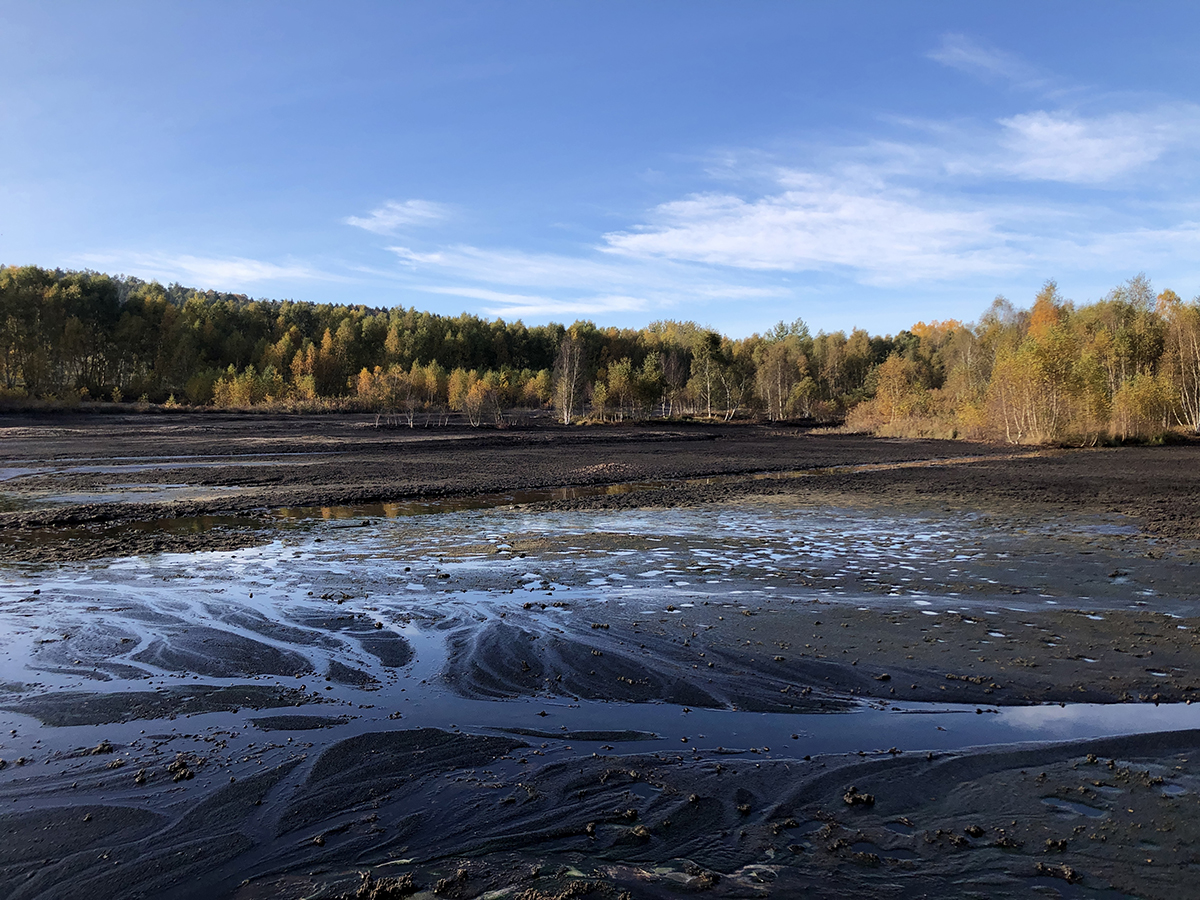 Peat mining operation in the Czech Republic