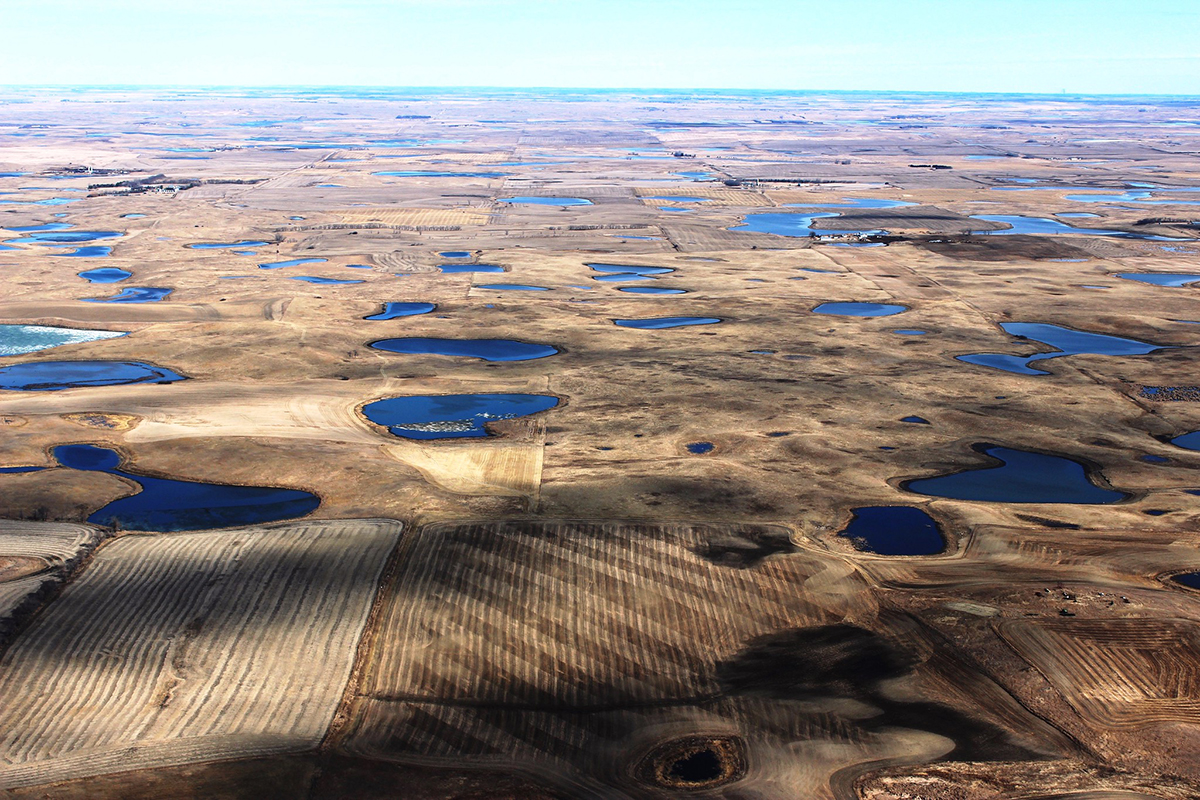 Photo by Krista Lundgren/USFWS and published under this license: https://creativecommons.org/licenses/by/2.0/deed.en.