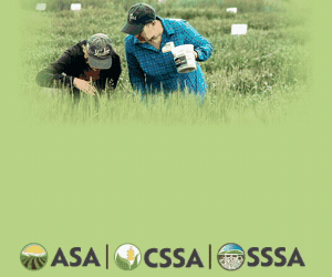 Looking for a job? A career? Job advice?