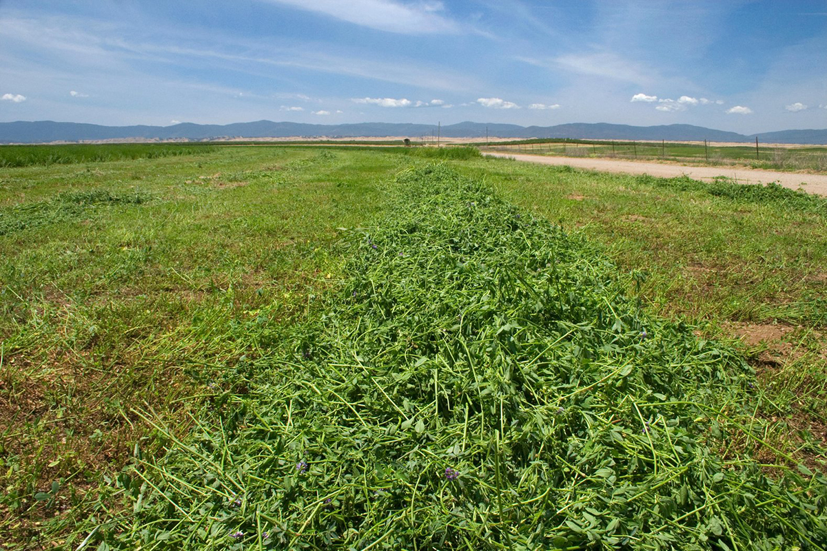 Photo courtesy of Image Source Limited/Alamy.