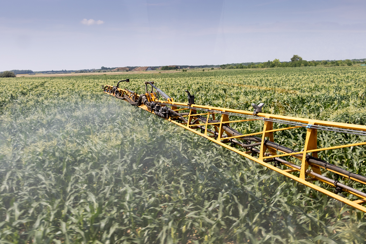 Photo courtesy of Adobe Stock/ kocsisanyi78.