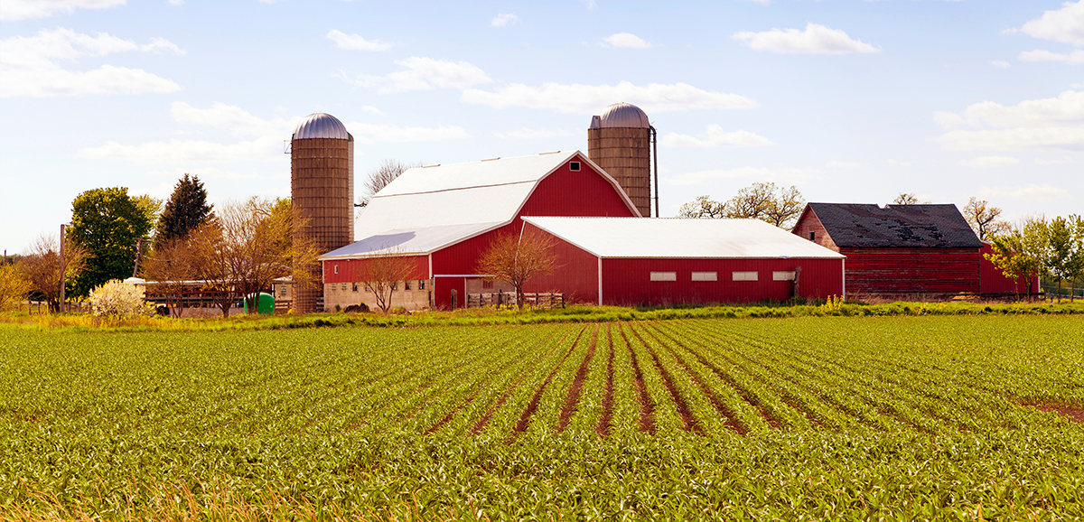 Photo courtesy of Adobe Stock/maksymowicz.