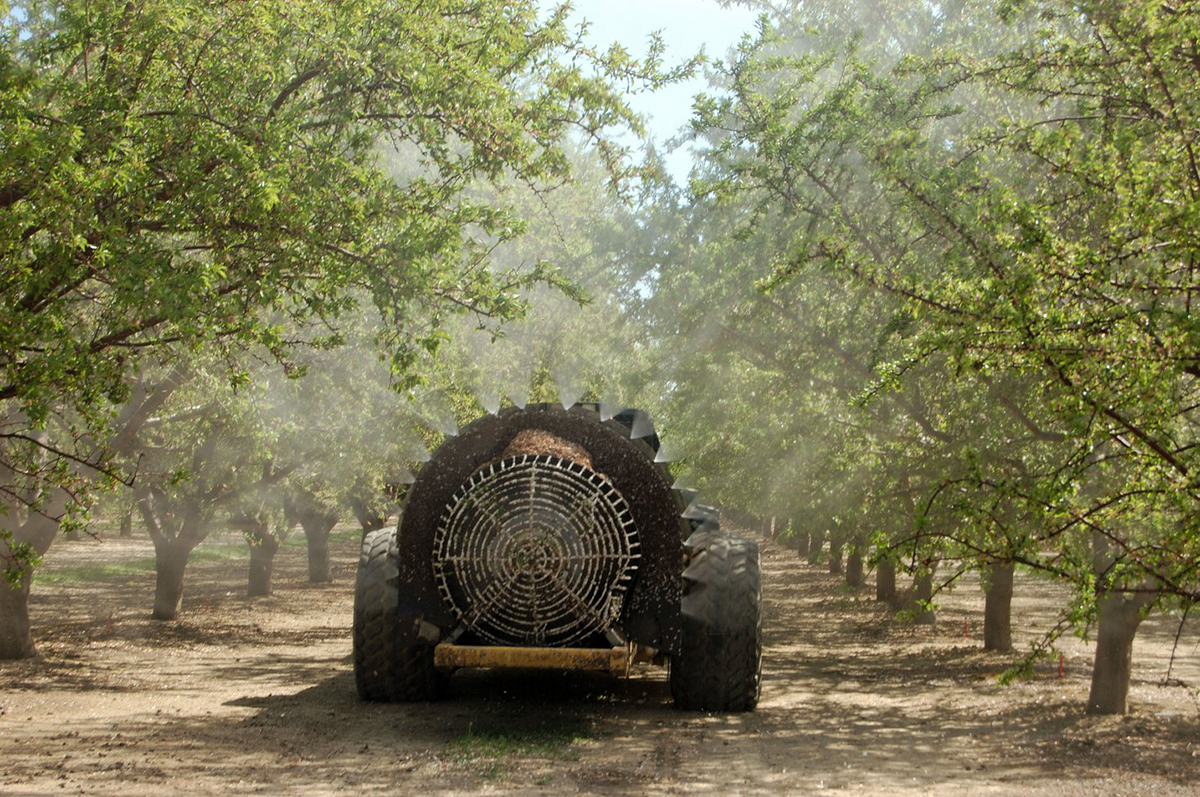 Nutrient foliar spray in an almond orchard. Photo courtesy of Alamy/Leonard F Wilcox.