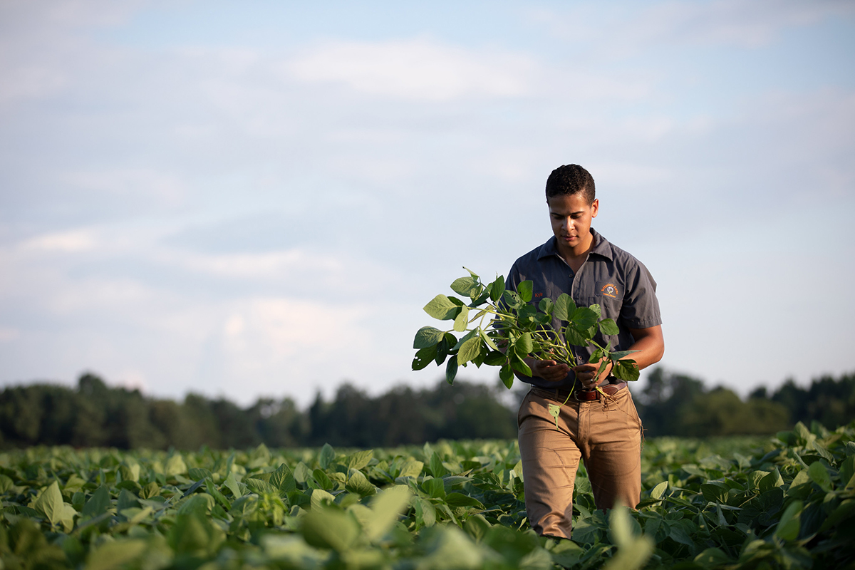 Photo courtesy of the United Soybean Board. CC BY 2.0.