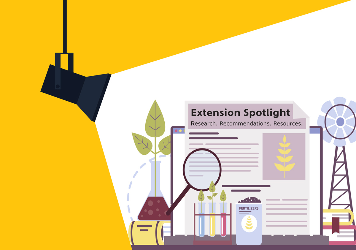 Extension Spotlight