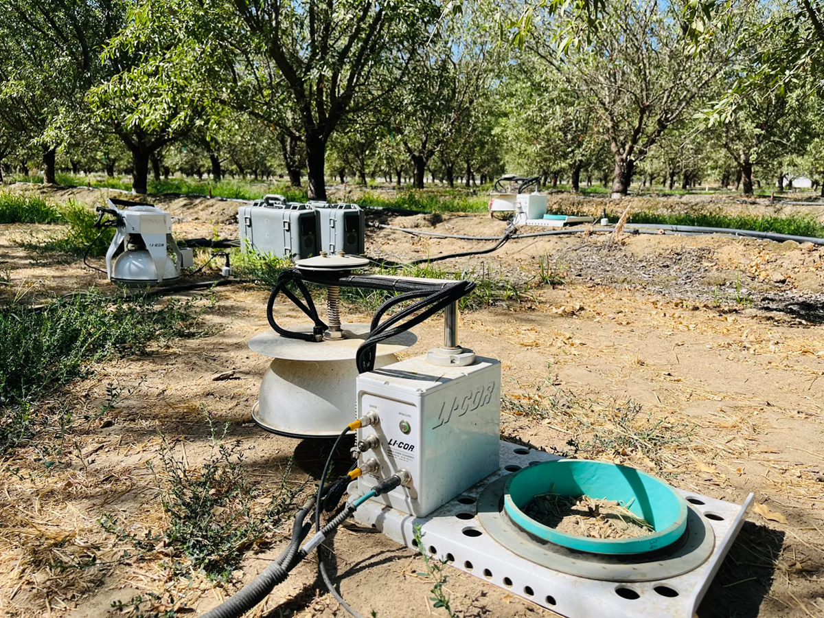 Field instruments (LICOR smart chamber 8200-01S, LI-7810 and LI-7820 analyzers, and LI-8200-104 Opaque Long-Term Chamber) used to measure greenhouse gas emissions in a young almond orchard four years after whole orchard recycling in Parlier, CA. Photo courtesy of Dr. Touyee Thao.