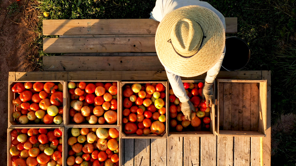 Photo courtesy of Adobe Stock/Robert Peak.